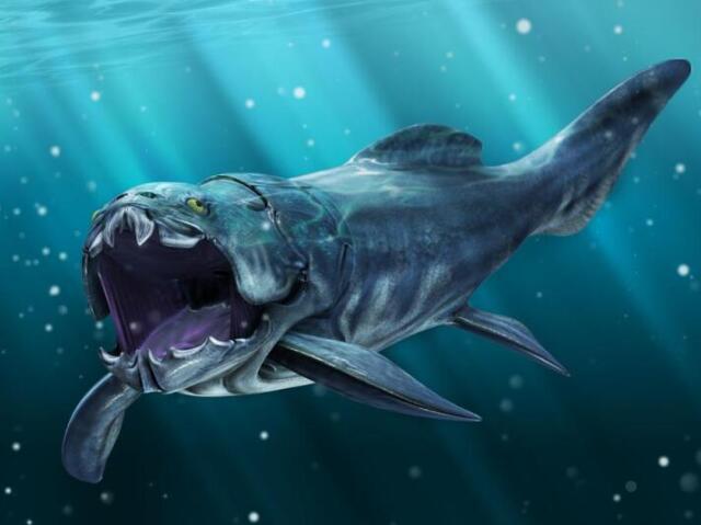 dunkleosteus