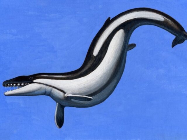 basilosaurus