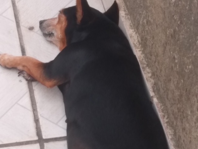 Não