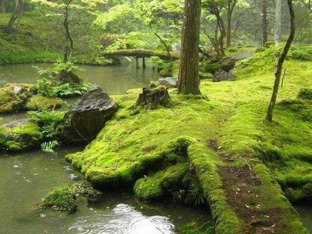 lindo to sem palavras menó--