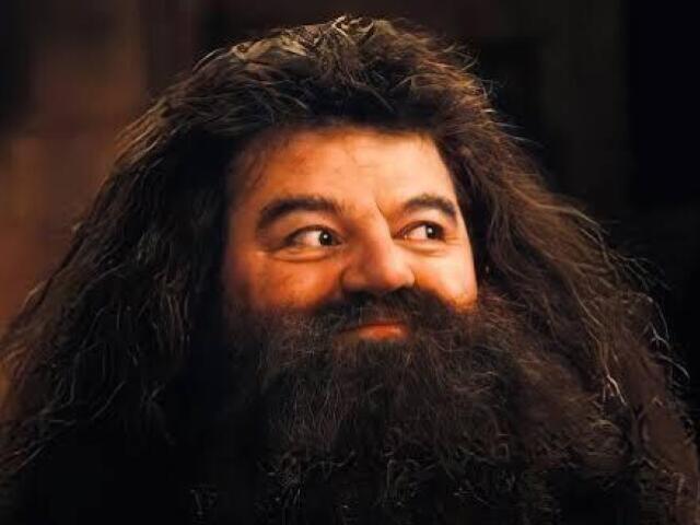 "Tchau (Harry), adeus Hagrid. Até hogwarts! " E acenou antes de entrar (entrarem se você mora com Harry) em casa.