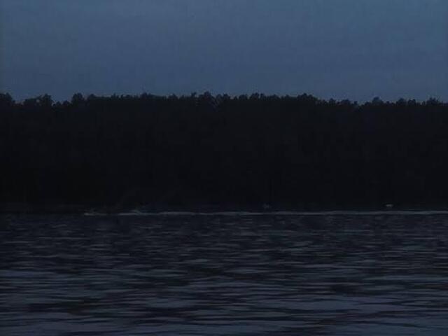 Damos um jeito de pular o muro para ir nadar no lago!