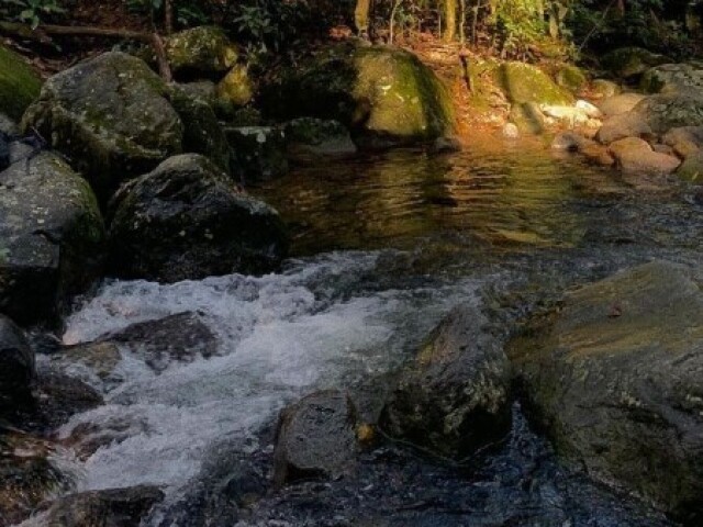 Fomos num lugar calmo quieto, tipo uma fazendinha, com cacheira e rios✨🏊‍♀️