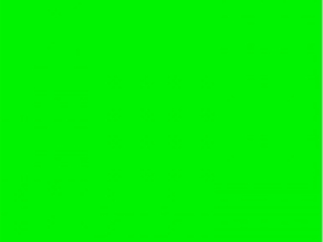 Verde💚💚💚💚
