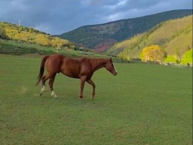 Uma gracinha💐