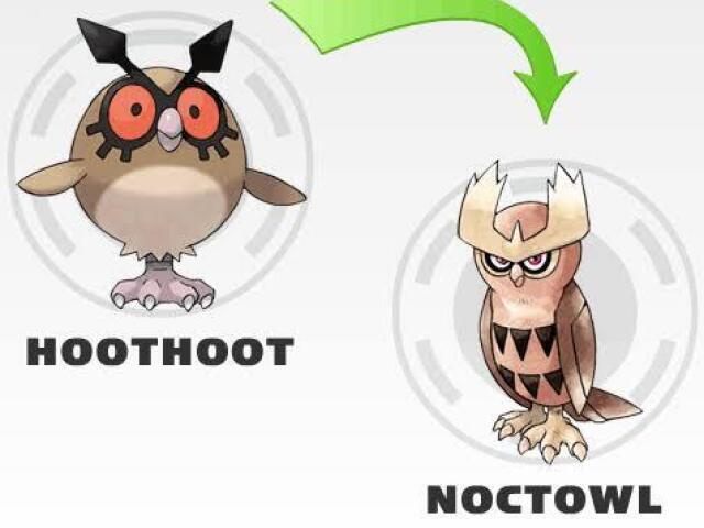 Hoothoot > Noctwol