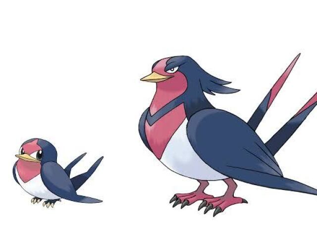 Taillow > Swellow