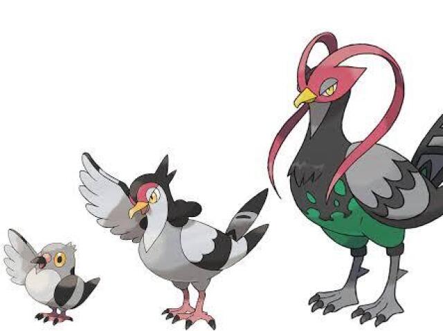 Pidove > Tranquill > Unfezant