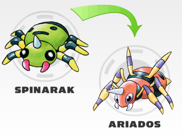 Spinarak > Ariados