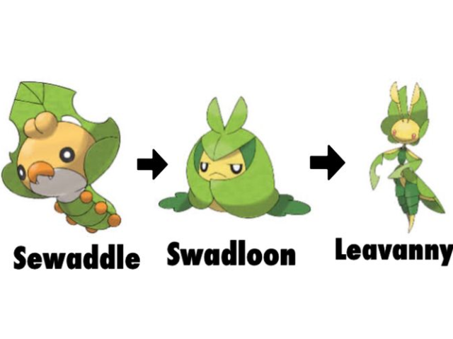 Sewaddle > Swadloon > Leavanny