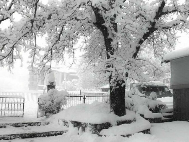 Nevando