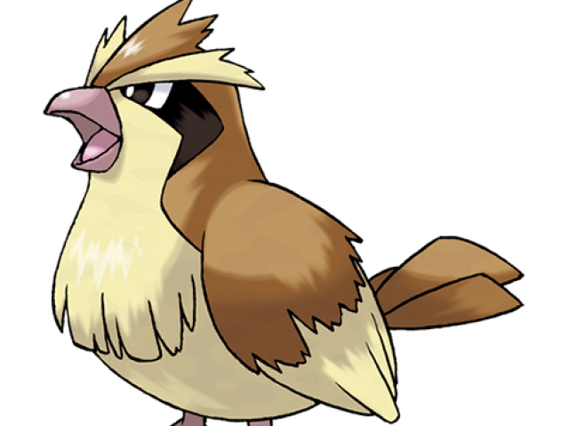 Pidgey