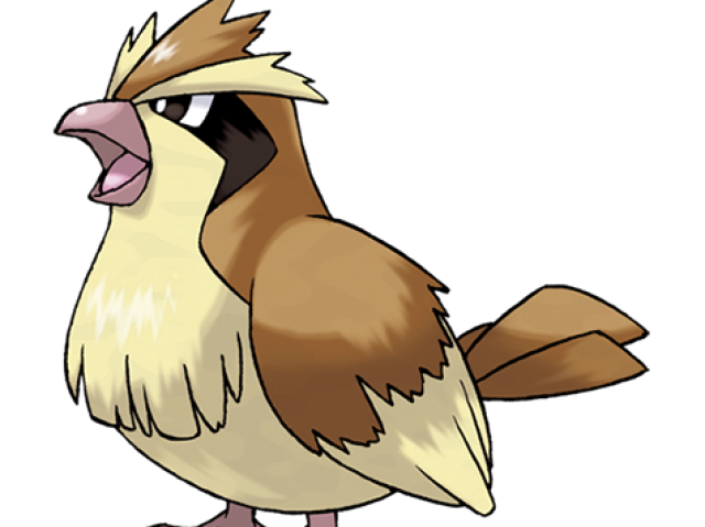 Pidgey