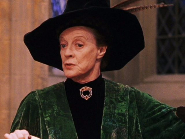 Professora McGonagall(Transfiguração)