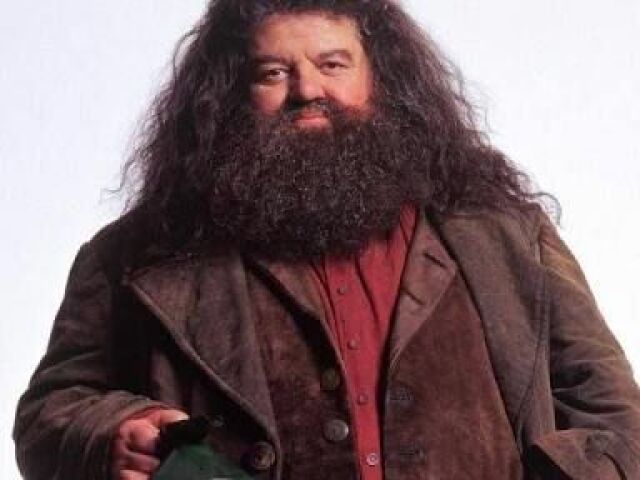 Rúbeo Hagrid(Criaturas Mágicas)