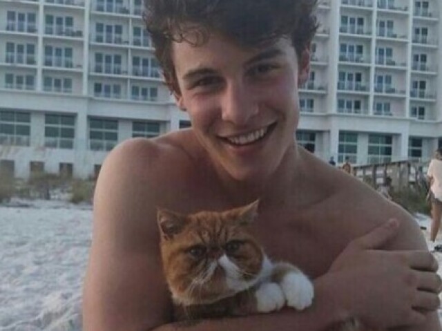 shawn mendes