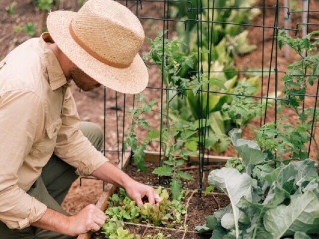 Agricultura, pecuária, minérios, indústrias, serviços e comércio