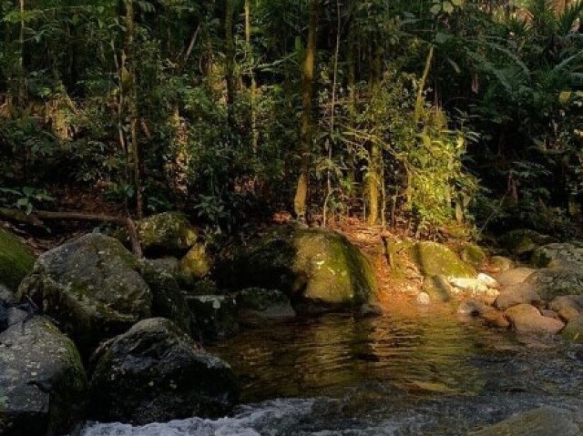 Uma trilha com direito vista a da natureza