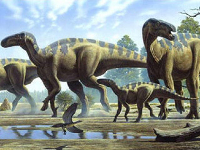 Dinossauros