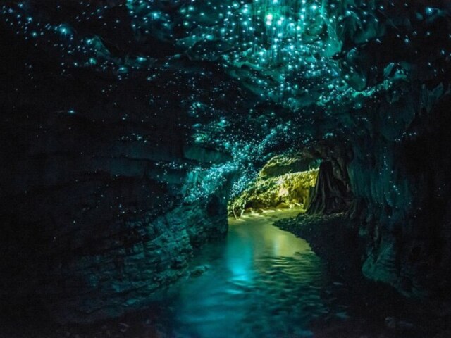 Cavernas de Waitomo