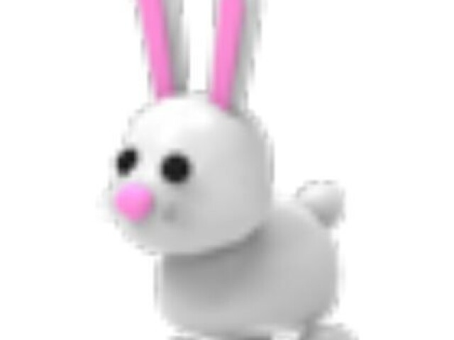 Coelhinho 🐇
(Raro)