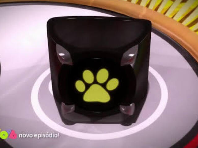 O miraculous do gato