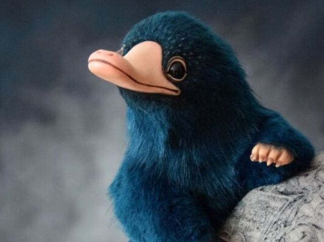 Pelúcio