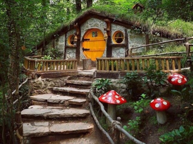 🍄