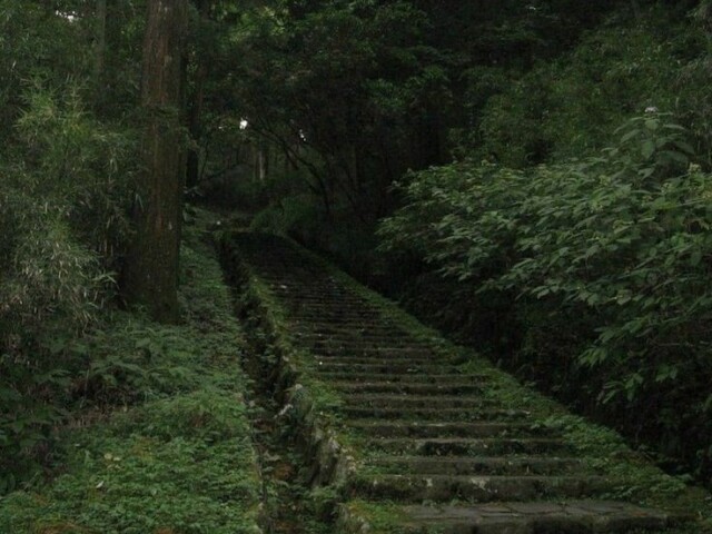 Para algum lugar abandonado 🌺