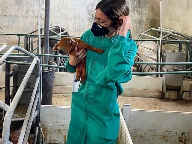 Veterinária ou médica