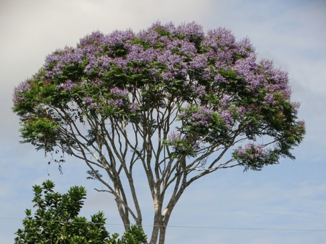 Calcário