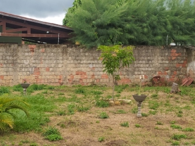 Planta