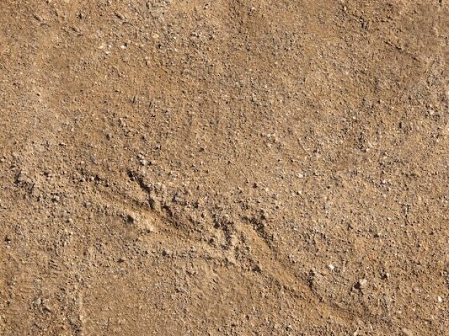 Terra (areia)