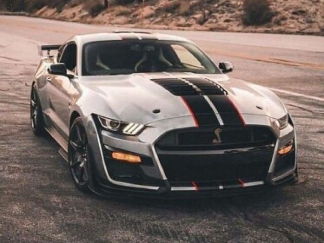 Mustang