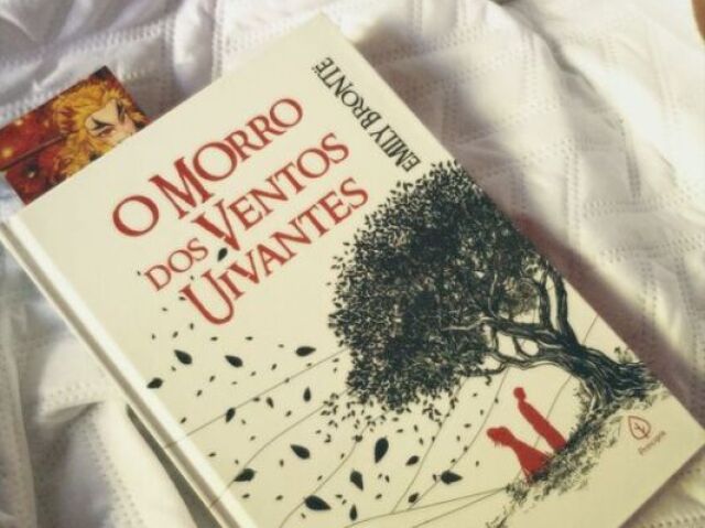 O morro dos ventos uivantes - Emily Bronte