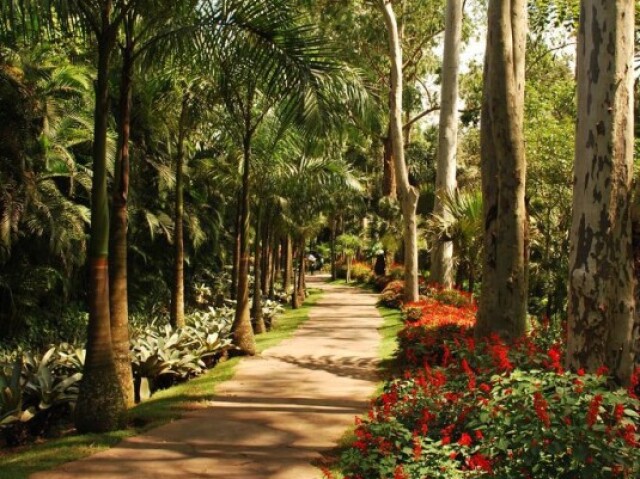 Um lugar agradável e refrescante.