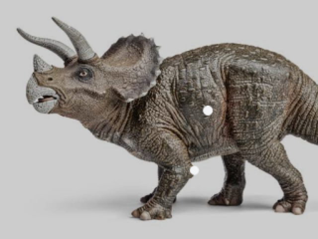 Triceratops