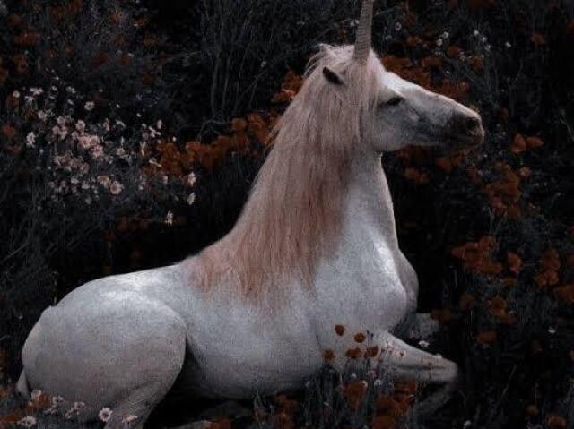 Unicórnio🦄