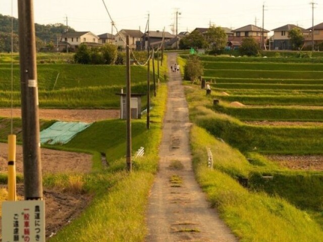 Japão🇯🇵 (um terço dos japoneses são idosos, sendo o país com mais idosos do mundo, o país ocupa o primeiro lugar no quesito da saúde, com uma expectativa de vida de 86 anos, sendo a média de 80 anos de boa saúde e produtividade, alto nível de segurança e liberdade cívica)