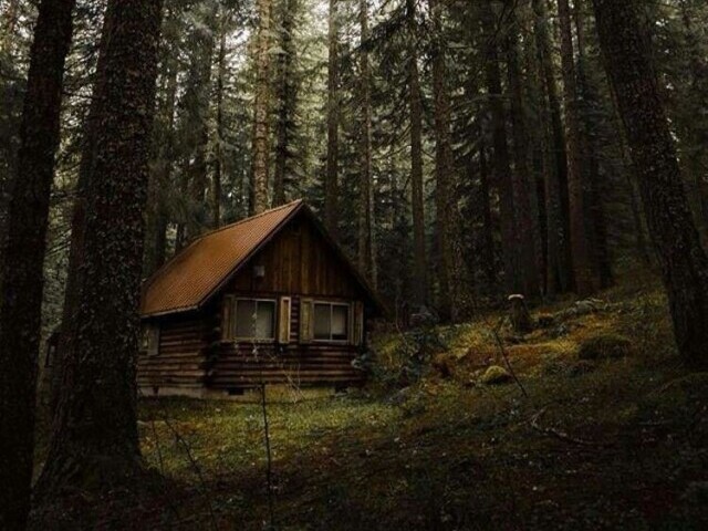 Em um cabana escondida no meio da floresta.