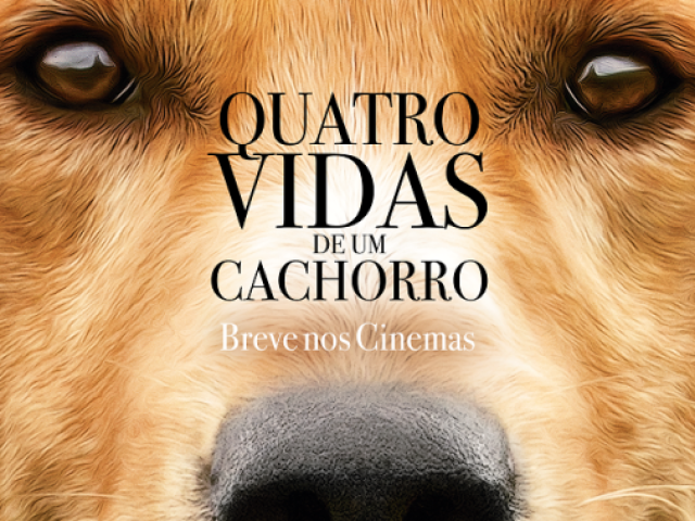 4 vidas de um cachorro