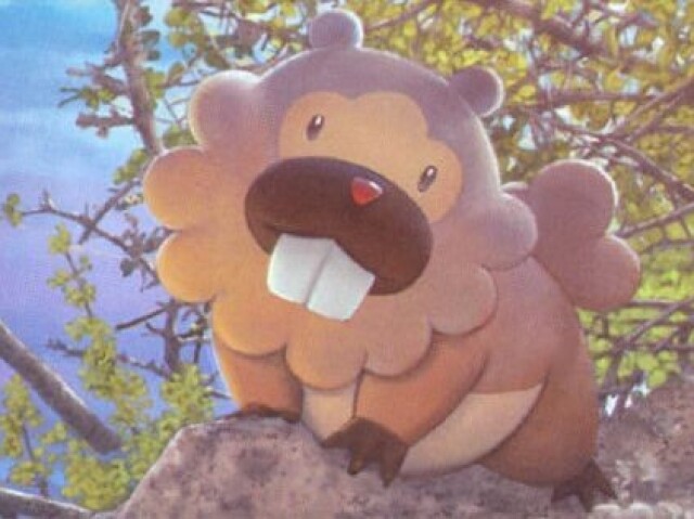 Bidoof