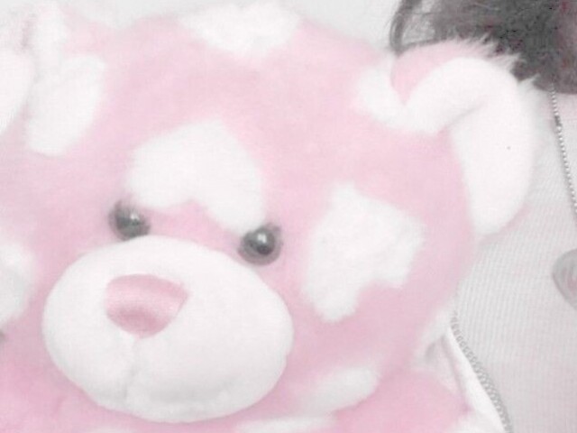 Teddy pink >? ♡