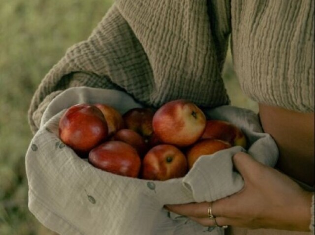 ...colho frutas grandes e reparto para que todos comam."