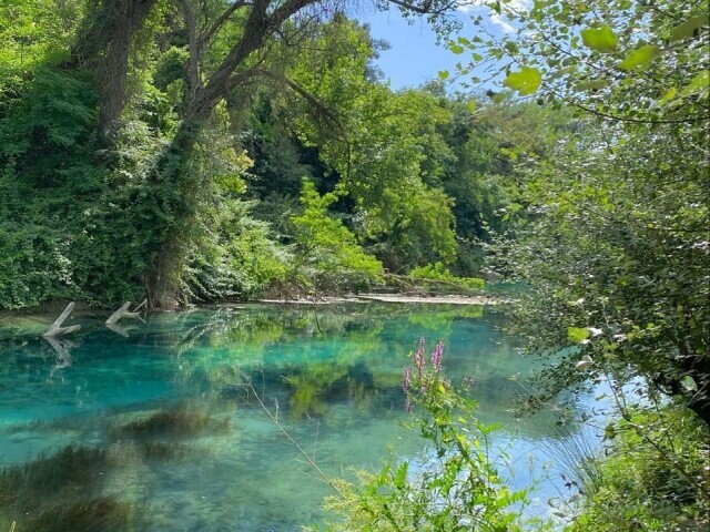 ...em um lago com aguas cristalinas que cintila com a luz do sol."