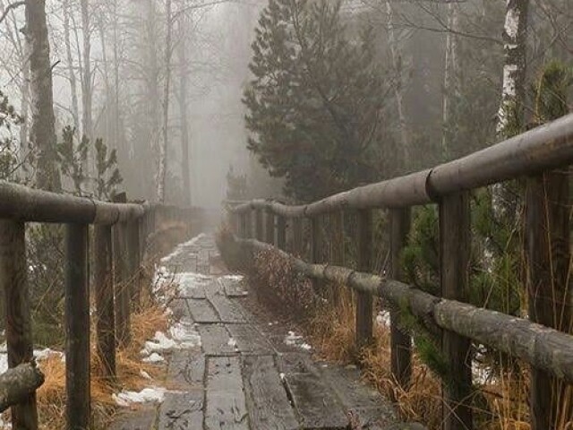 ...escolho o caminho anevoado com uma ponte de madeira, parece interessante."