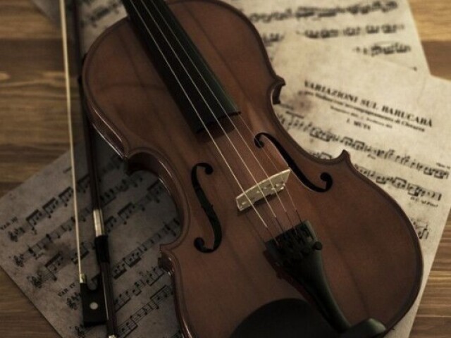 Violino