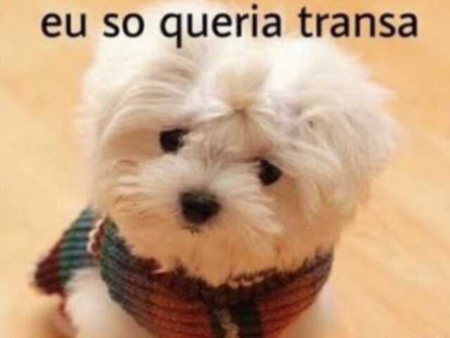 PEIIRAOOAOAOAOA POIERAOAOAOOA PEITOOSOSOSOSOSOSO EIEIROF 😈😈😈😢😈❤️😈👨🏼🦲👨🏼🦲💒😴😴🤙💒