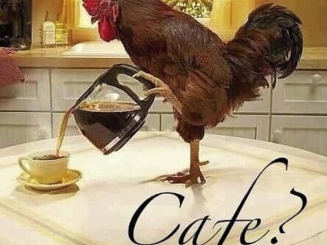 Café