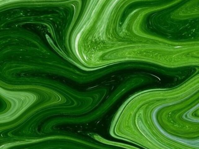 verde